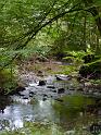 Kellerwald (12)